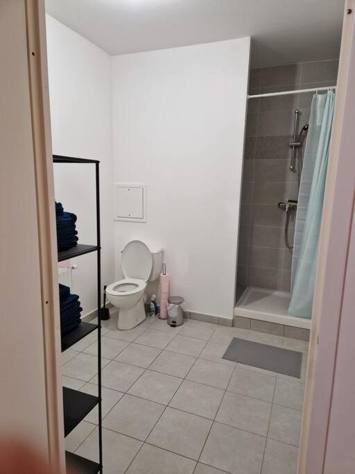 20mn Paris Saint Lazare Appartement
